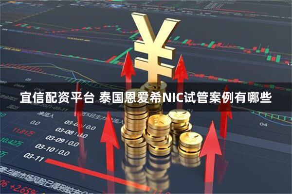 宜信配资平台 泰国恩爱希NIC试管案例有哪些